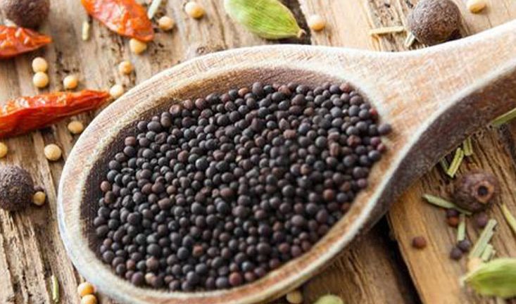 HP Seed Mustard Seeds
