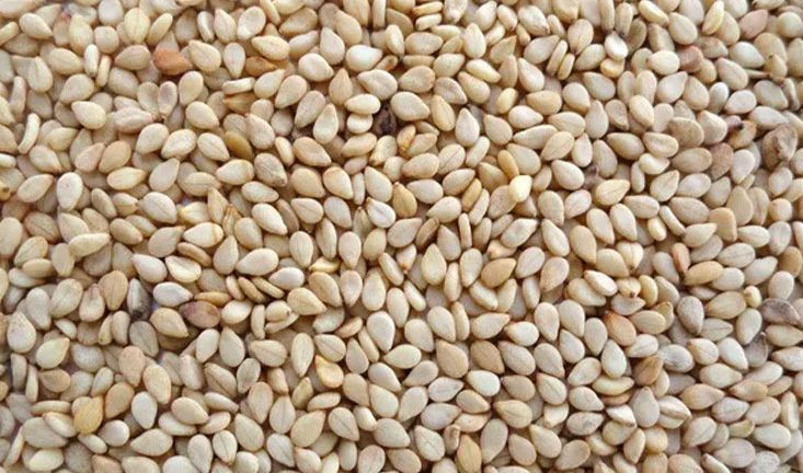HP Seeds Sesame Seeds