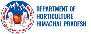 Department Of Horticulture Himachal Pradesh